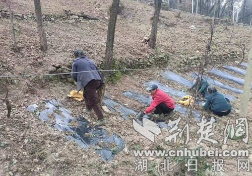 _cgi-bin_mmwebwx-bin_webwxgetmsgimg__ MsgID=2011731457673915429